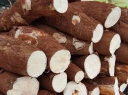 FLV MANDIOCA C CASCA KG kg