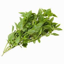 FLV MANJERICAO UN un