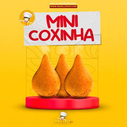 COXINHA FRANGO MARELLEY FAST 480GR