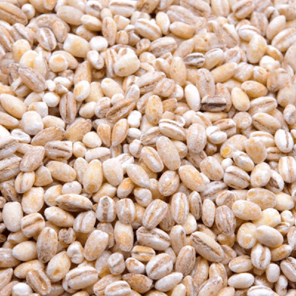 CEVADINHA IMP DESC CORSETTI 500 GR