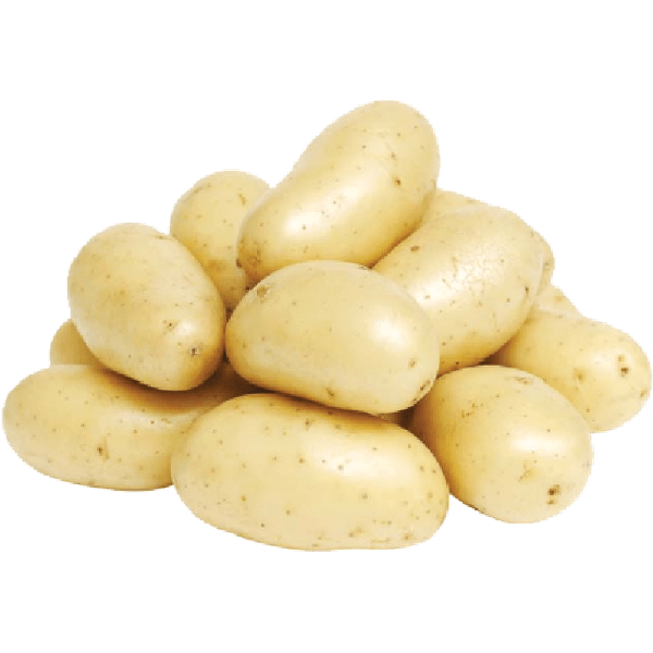 HORTIF BATATA BRANCA KG