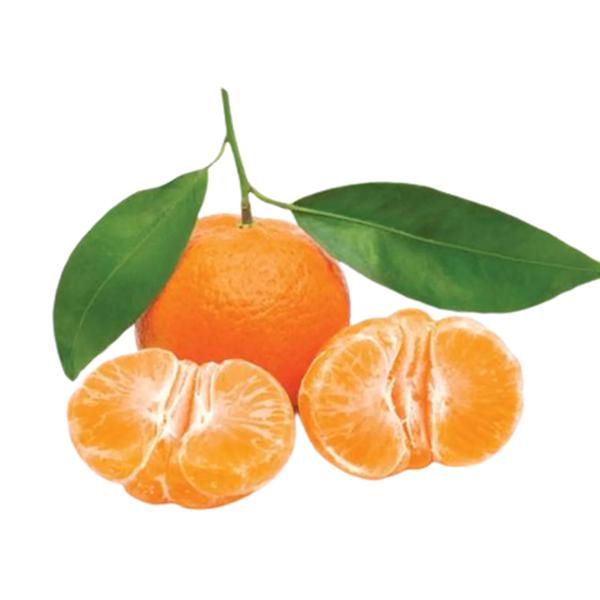 HORTIF BERGAMOTA COMUM KG