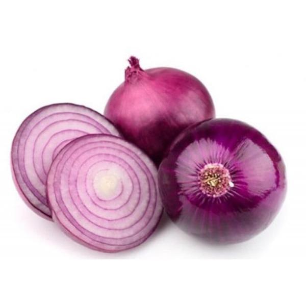 HORTIF CEBOLA ROXA KG