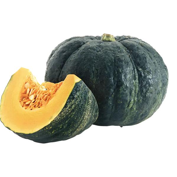 HORTIF MORANGA KABOTIA KG