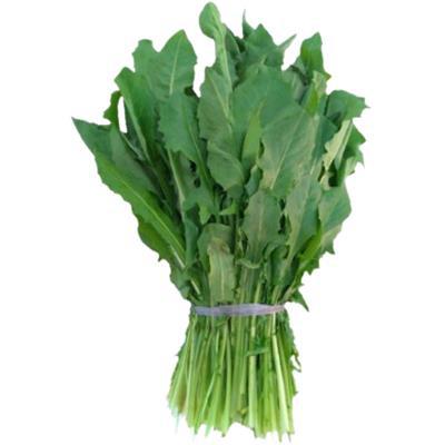 HORTIF RADITE CHACARA UN