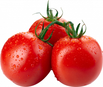 HORTIF TOMATE PAULISTA/ITALIANO KG