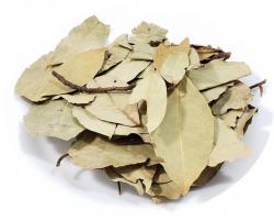 LOURO MONOPOL FOLHA 3G 12