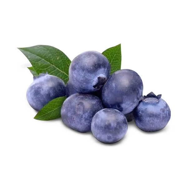 HORTIF MIRTILO 125GR