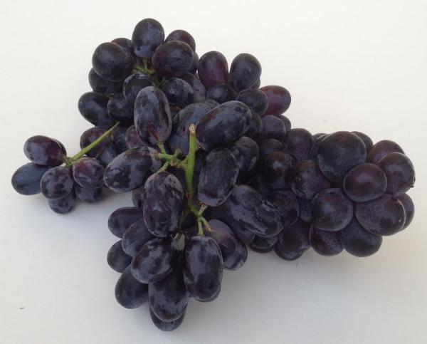 UVA PRETA SEM SEMENTE 500GR