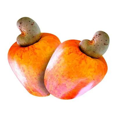 CAJU HR FRUTAS BDJ 500G