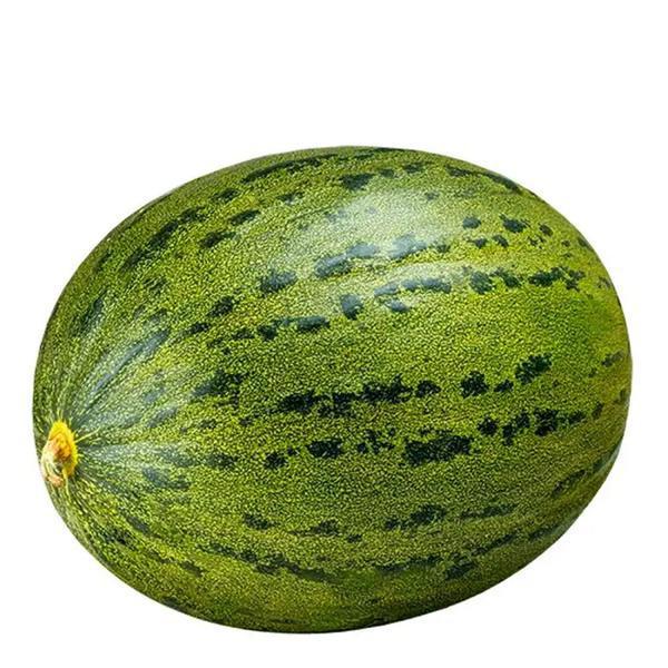 MELAO SAPIER KG