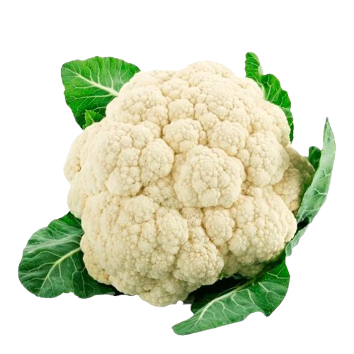 HF COUVE FLOR UND