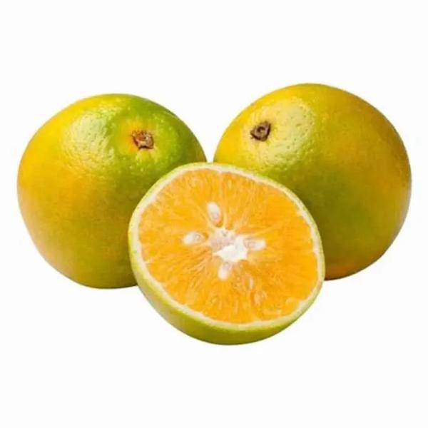 HF LARANJA LIMA KG