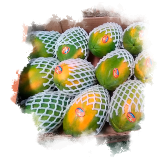 HF MAMAO PAPAYA KG