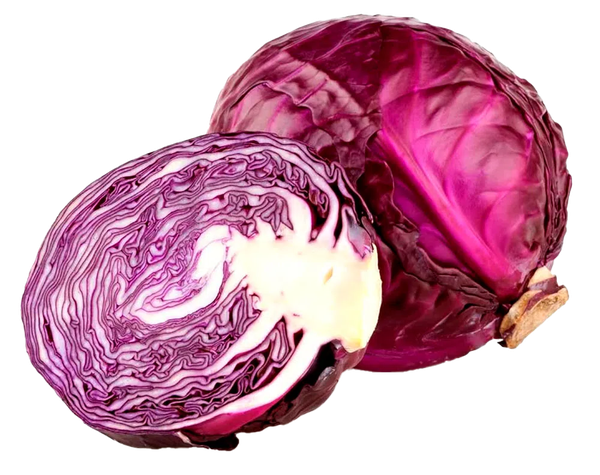 HF REPOLHO ROXO KG