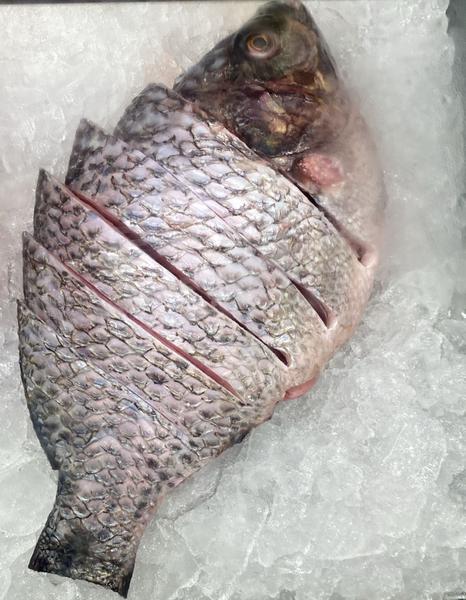 PEIXE TILAPIA SAO LUIZ KG