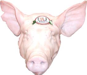 CABECA DE PORCO UNID