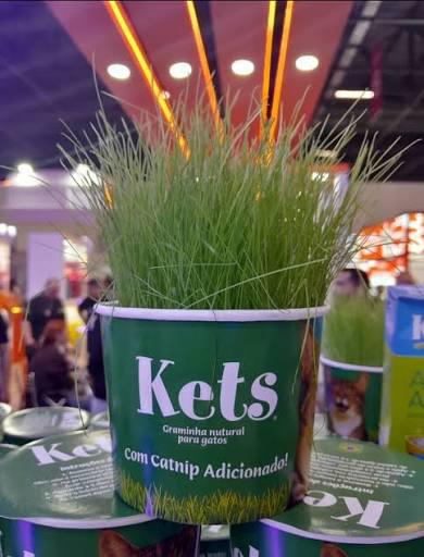GRAMINHA KETS COM CATNIP UN