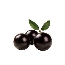 JABUTICABA BRUDA 250G