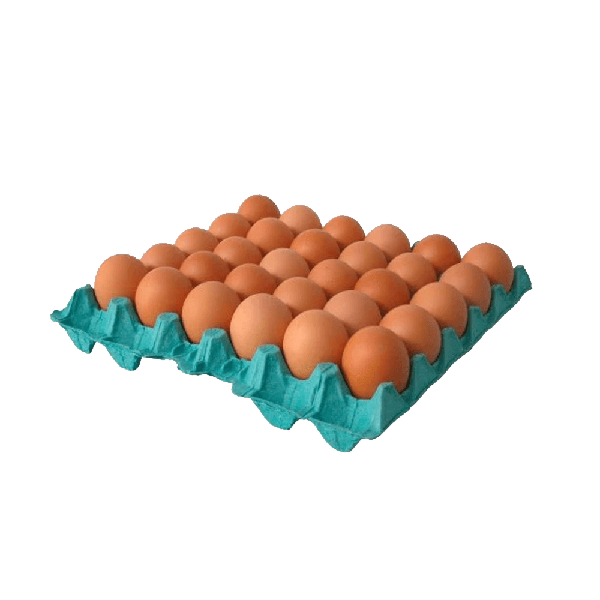 OVOS BANDEJA 30 UN
