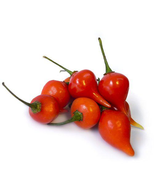 PIMENTA DE BICO BANDEJA C / 100GR