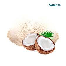 POTE SORVETE COCO 720GR