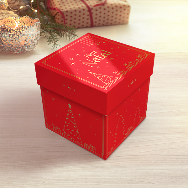 CAIXA MINI PANETONE TAMPA E FUNDO NATAL LUZ UN IDEIA