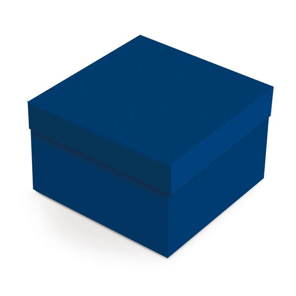 CAIXA QUADRADA POLO 20X20X10CM P CROMUS