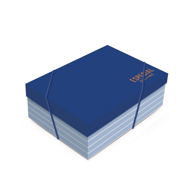 CAIXA RETANGULAR COM TAMPA POLO 35X25X11CM M UN CROMUS