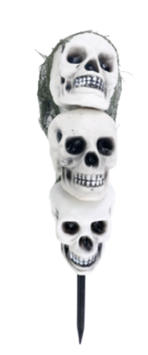 CRANIOS NO ESPETO UN CROMUS