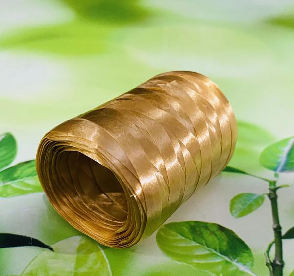 FITILHO 05MMX50M OURO AQUARELA