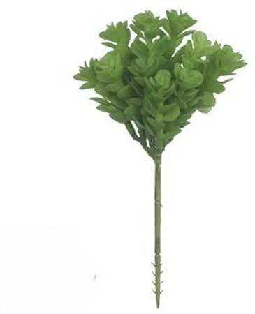 FOLHA SUCULENTA 20CMX15 VERDE ESCURO UN FLORARTE