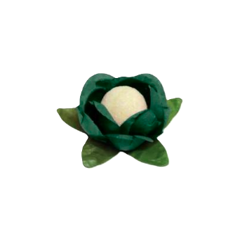 FORMA LA ROSE VERDE MUSGO 30UN MAXIFORMAS