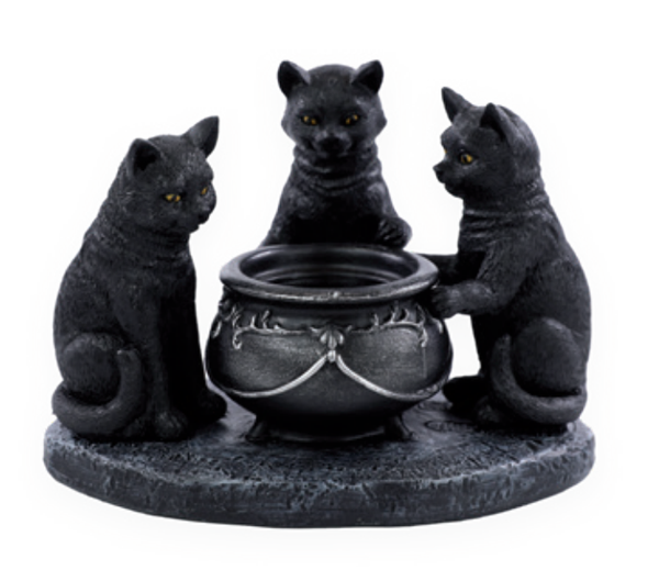 GATOS NOITE DO TERROR PRETO UN CROMUS