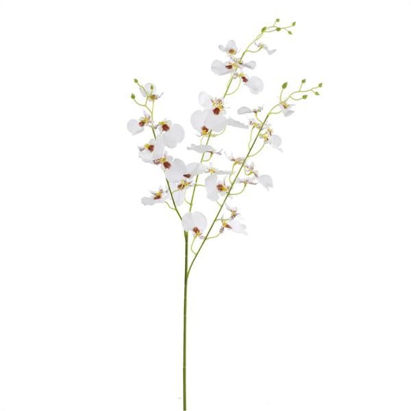 HASTE DE ORQUIDEA X32 BCO 83CM UN CROMUS