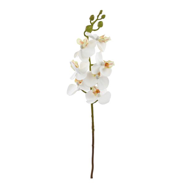 HASTE DE ORQUIDEA X7 BCO 63CM UN CROMUS