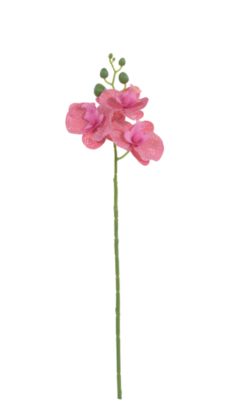 HASTE ORQUIDEA PHALAENOPSIS 47CM PNK UN CROMUS