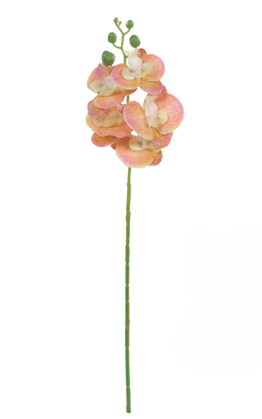 HASTE ORQUIDEA PHALAENOPSIS 50CM LJA UN CROMUS