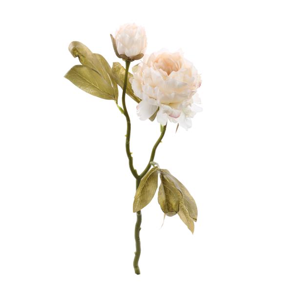 HASTE PEONIAS X2 BCO 47CM UN CROMUS