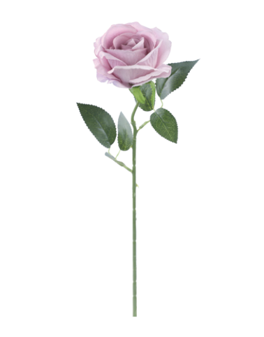 HASTE ROSA X1 LILAS 51CM UN CROMUS