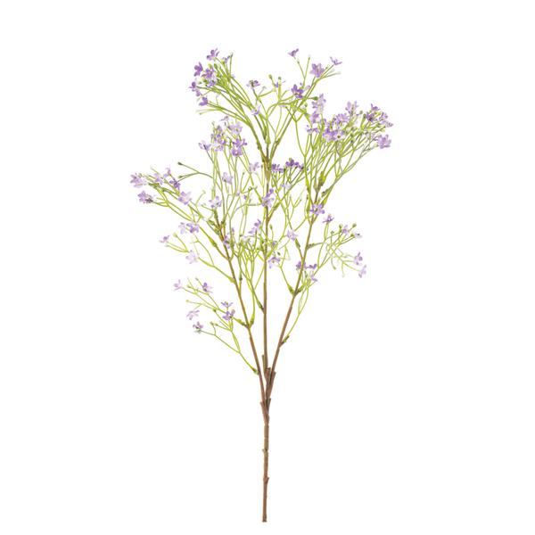 HASTE WALLFLOWER X36 LILAS 7CM UN CROMUS