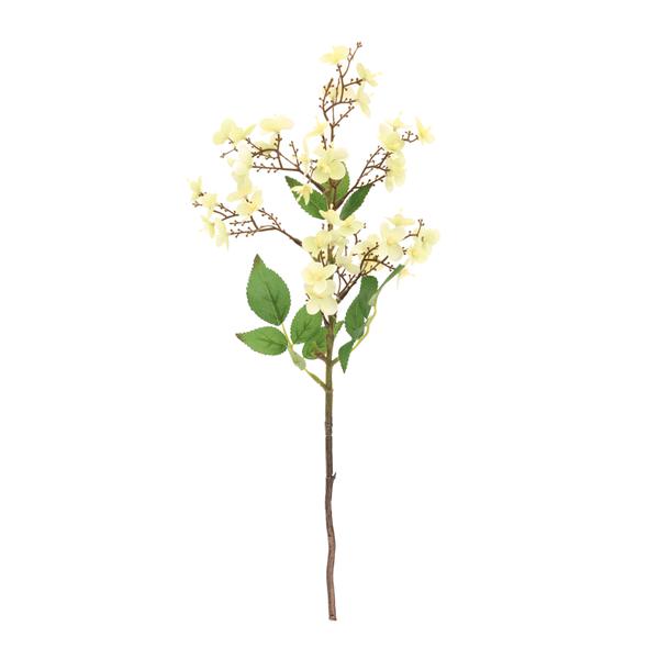 HORTENCIA C/FOLHAS AMA/VRD 50CM UN CROMUS