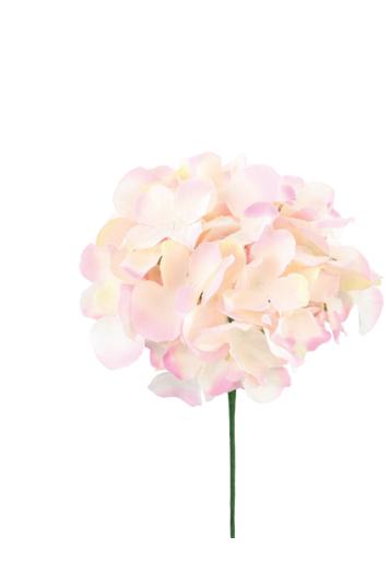 HORTENSIA C/HASTE ROC/VERDE UN CROMUS