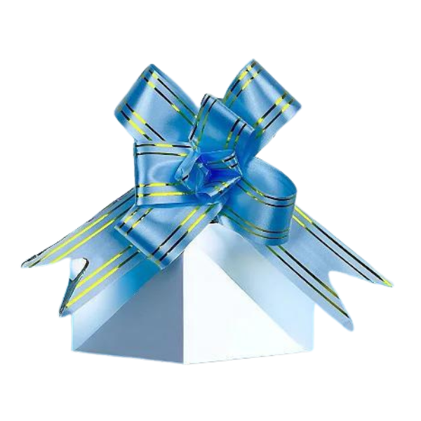 LACO PRONTO GIGANTE AZUL CLARO 50X850MM 10UN HIPER