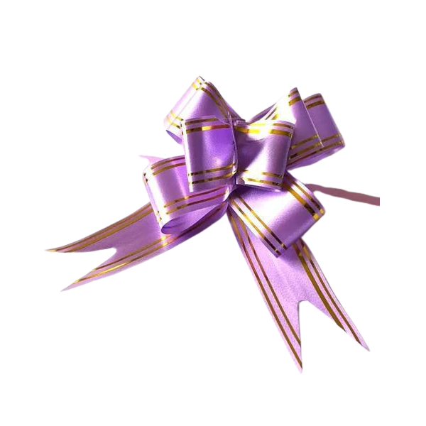 LACO PRONTO GRANDE LILAS 30X520MM 10UN HIPER
