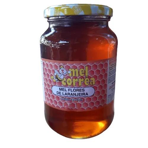 MEL LARANJEIRA 675G CORREA