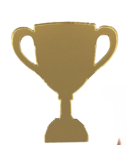 MICRO APLIQUE ACRILICO TROFEU DOURADO 10UN GRINFEST