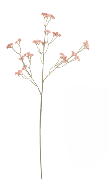 MOSQUITINHO X81 CHA 61CM UN CROMUS