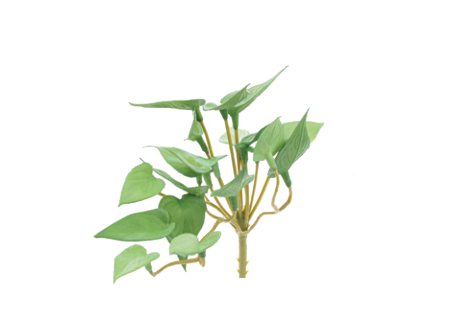 PICK FOLHAGEM VRD 13CM UN CROMUS