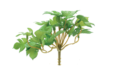 PICK FOLHAGEM VRD 13CM UN CROMUS